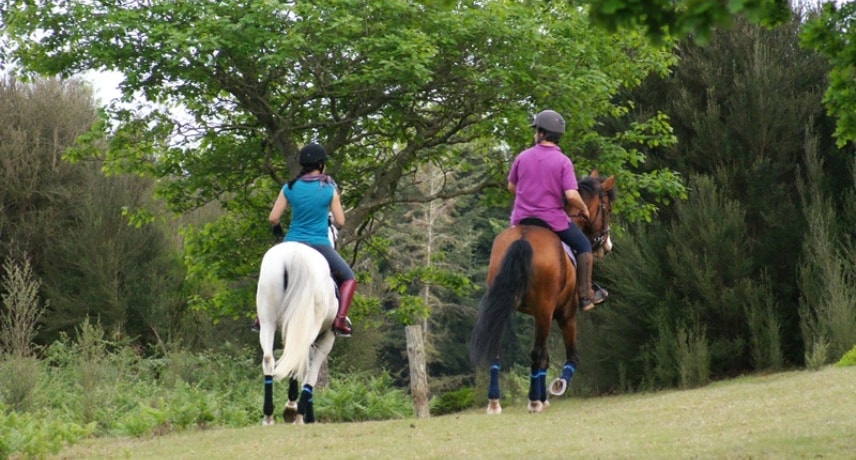 Horse Riding in Madeira Island